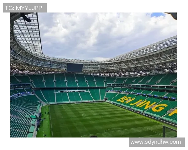 足球金色的辉煌历程与未来展望探讨球场上的梦想与激情