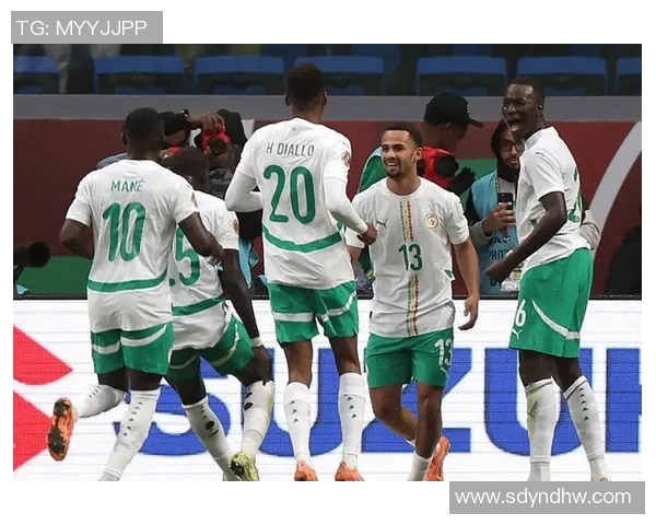 非洲杯足球盛宴即将开启各国球队争夺荣耀与梦想的舞台