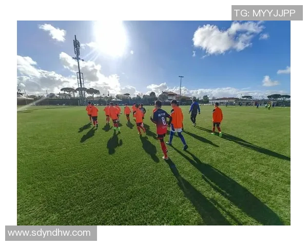 追逐绿茵场上的梦想与激情我们的足球梦之旅